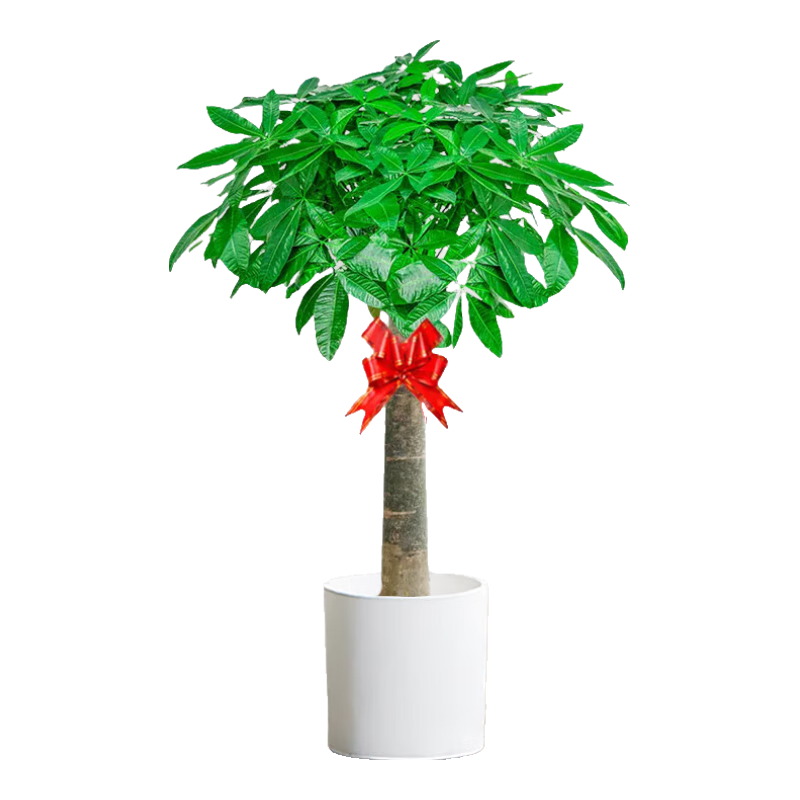 �����в����߷�������ҵ������Ǩ�¾ӵ��˶�˷�����������ֲԴͷֱ��