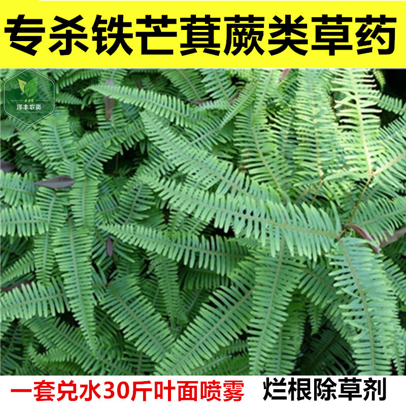 屠灌专杀蕨类植物铁线蕨凤尾蕨连珠蕨专用药铁芒萁除草剂灭杂草烂根药