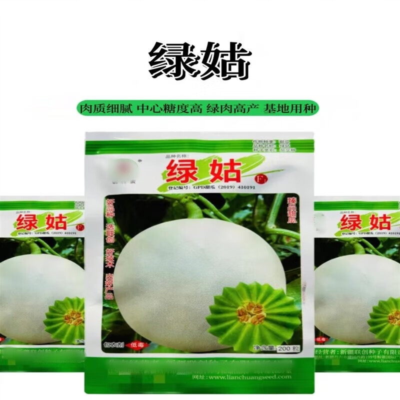 以琛绿姑甜瓜种籽超甜玉菇甜瓜种子肉色淡绿玉菇甜瓜抗病超甜肉厚腔小