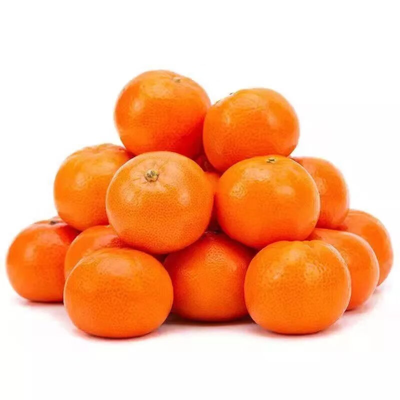 【现发】现摘无核薄皮柑橘桔子橙冰糖桔子新鲜当季水果 限抢:9-10斤