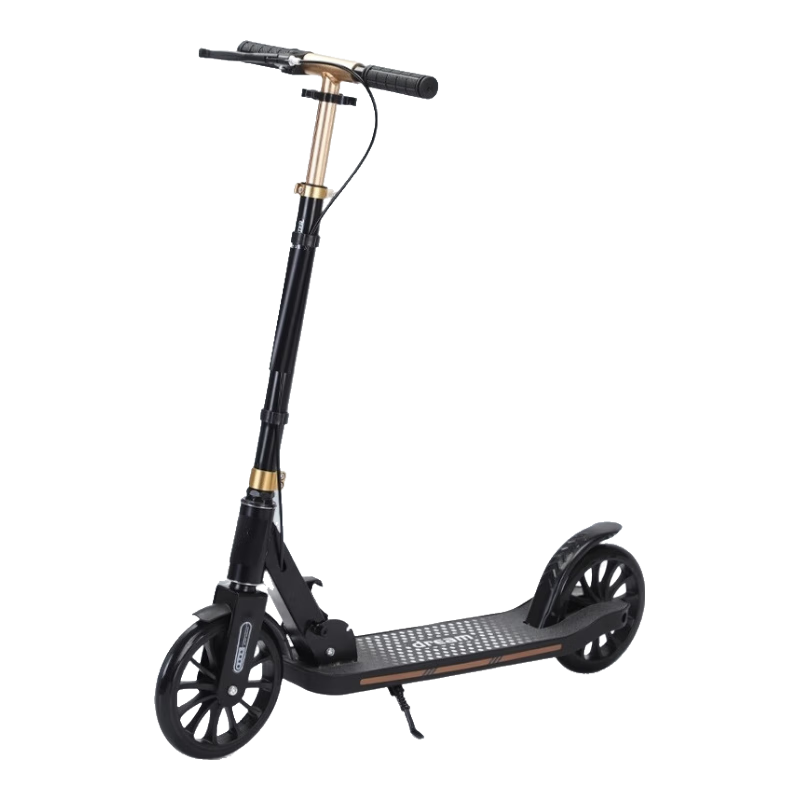 ڲãFOREVER峵ѧУ԰۵°ֵŶ̤ͯ峵 T1Ӱڡ˫ɲ+۵ 207.1Ԫ()