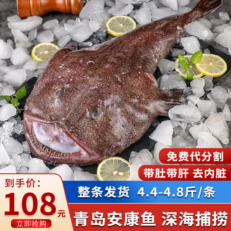 8斤-10斤 深海鱼丑鱼老头鱼海鲜鱼类 4.4斤-4.8斤/条