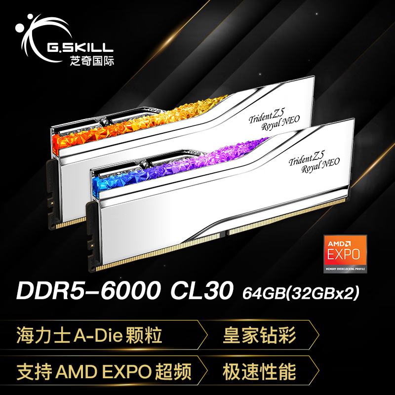 G.SKILL芝奇（G.SKILL）64GB(32Gx2)套装 DDR5 6000频率 台式机内存条-皇家戟EXPO版RGB灯条-银色/C30