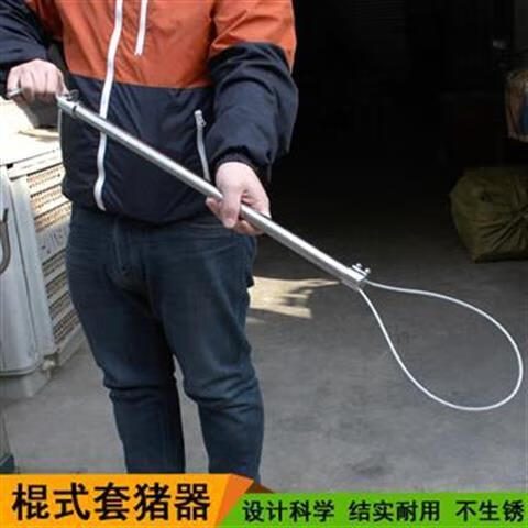 莎庭(sartill)弹簧套三节双钢丝套猪器钢丝绳猪用绳式套猪器棍式套猪