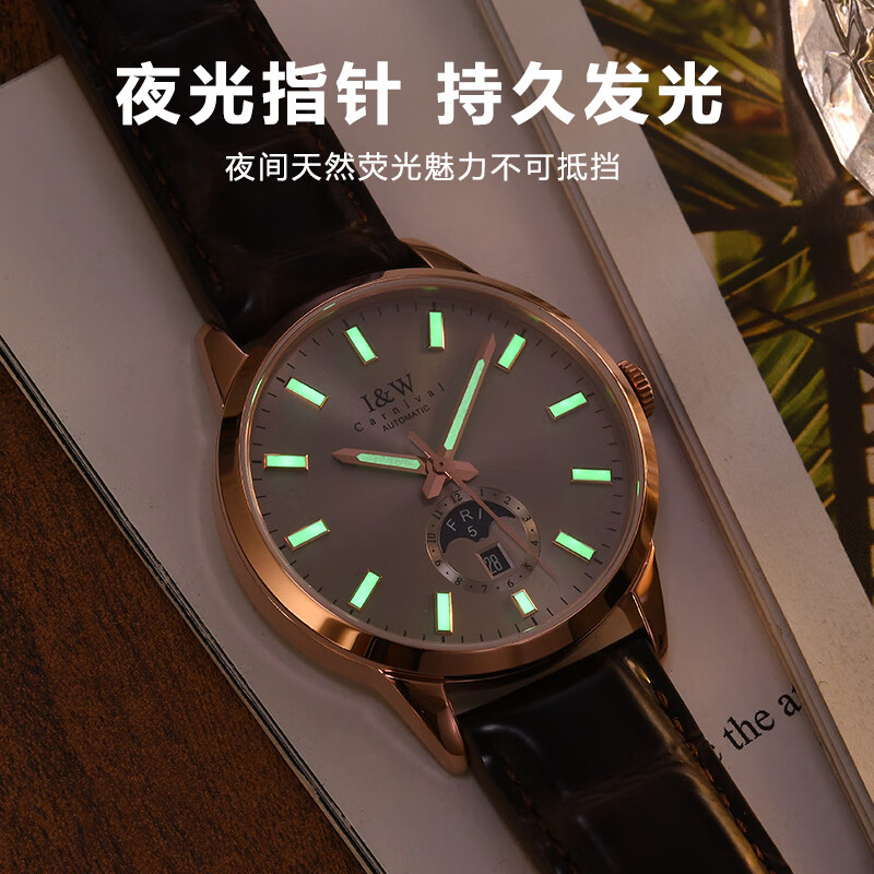 爱沃驰手表男士瑞士品牌夜光机械表进口机芯全自动男士品牌手表十大名表 升级版-玫灰皮带【进口机芯】免费刻字