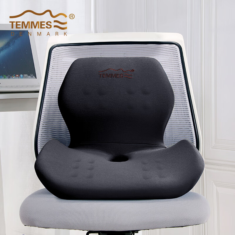 TEMMES 丹麦泰梅斯 坐垫腰靠垫办公椅久坐舒臀背靠垫人体工学靠背一体垫 星空灰 软弹释压芯材