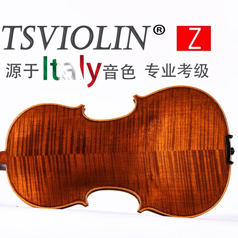 台氏进口欧料手工小提琴专业 纯手工 儿童初学者 演奏级小提琴 1/4深咖色适合身高121-130cm属于什么档次？