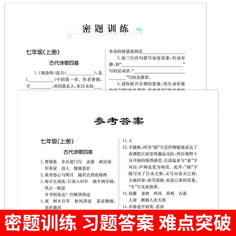 2021初中文言文完全解读初中文言文译注与赏析初中语文基础知识 初中文言文完全解读（进阶） 无规格