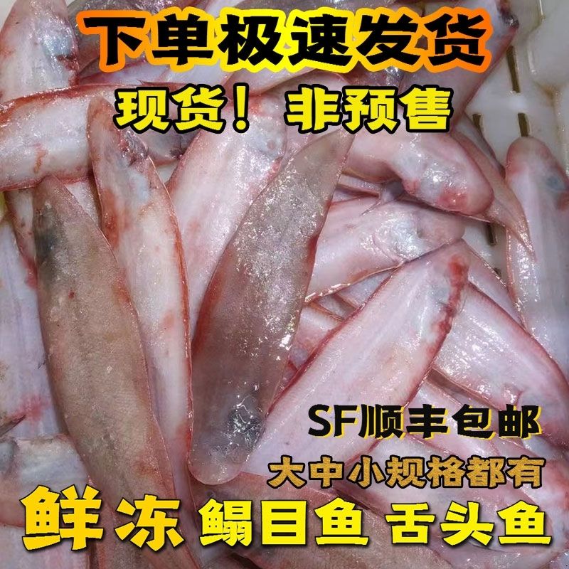 顺丰包邮龙利鱼海捕舌头鱼踏板鱼龙舌鱼鳎目鱼板鱼舌鳎鱼批发 500g 以