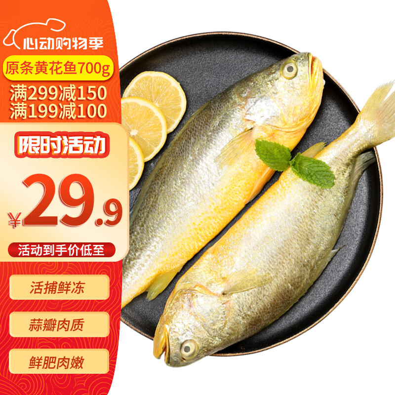 钓鱼记活冻宁德大黄花鱼700g/2条装 活鱼冷冻锁鲜 生鲜 鱼类 海鲜水产