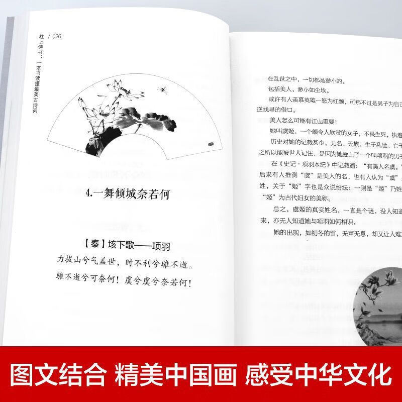 【严选】枕上诗书完整版 全套飞花令里读诗词中国古诗词大全古风书籍 全套4册中国古诗词文化大赏