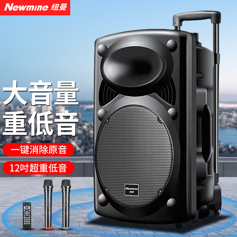 纽曼 L23广场舞音响户外蓝牙音箱低音炮大音量家用k歌手提便携式移动扩音器地摊摆摊大喇叭带无线麦风 B12（12寸+双话筒+遥控器）