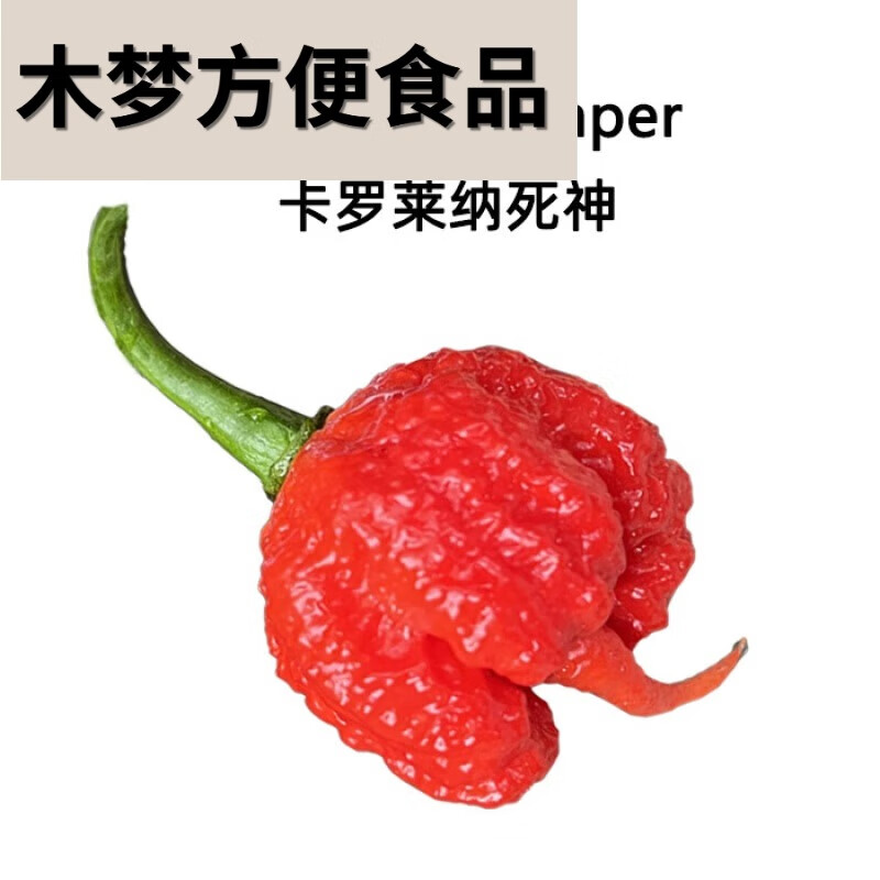 咖咪龙卡罗莱纳死神辣椒 巨辣卡罗莱纳死神辣椒干椒辣爆辣干辣椒