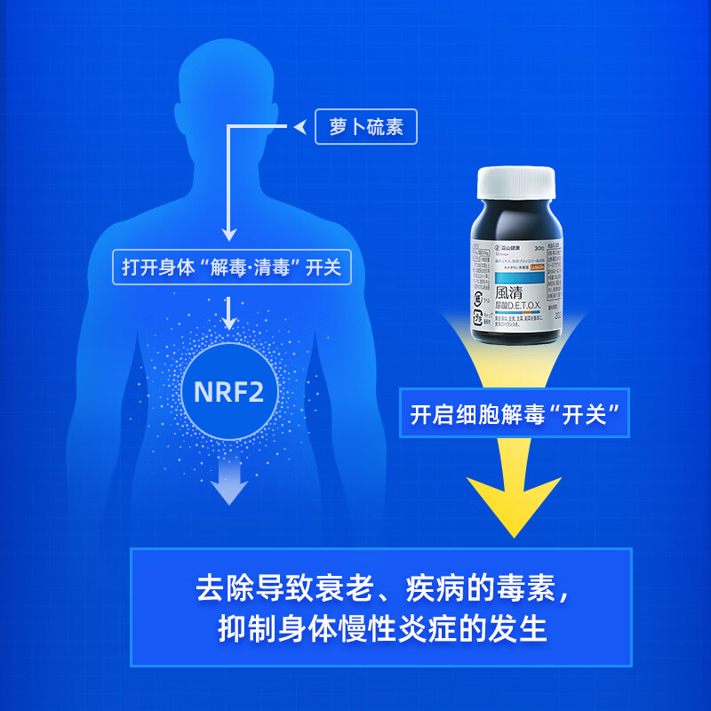 富山健康风清片木犀草素NRF2嘌呤代谢熬夜酸友成人健康30粒高含量 风清片 萝卜硫素二氢杨梅素木犀草素西兰花/藤茶
