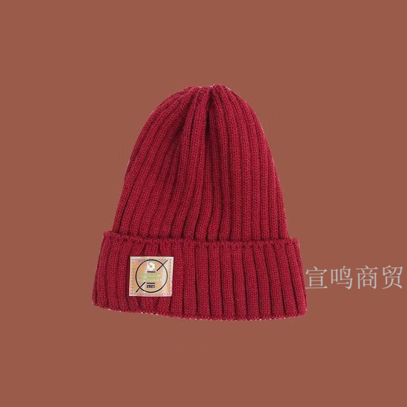 HACNSKD帽子女秋冬季绒线帽 女士新款时尚韩版百搭可爱针织帽 小雏菊+变色标粉色
