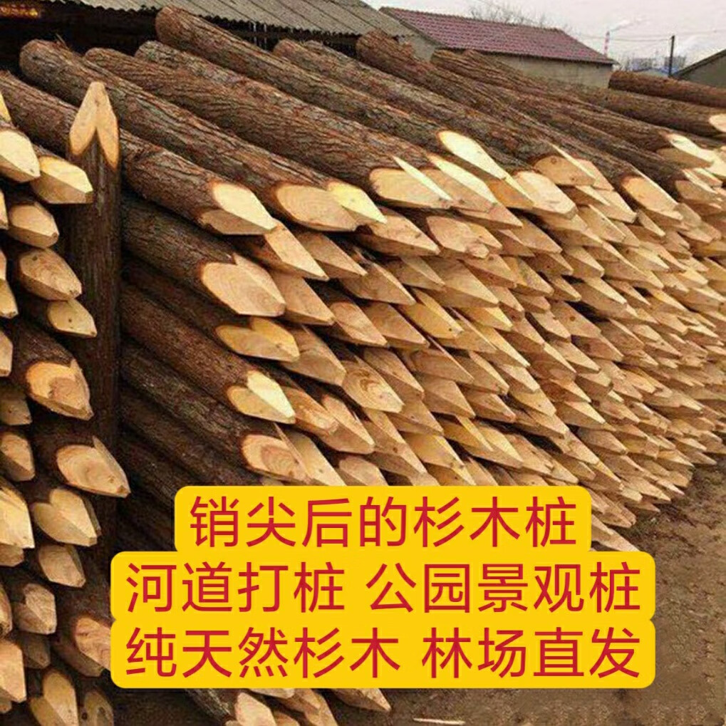 松木桩杉木桩河道打桩绿化支撑杆工程打桩