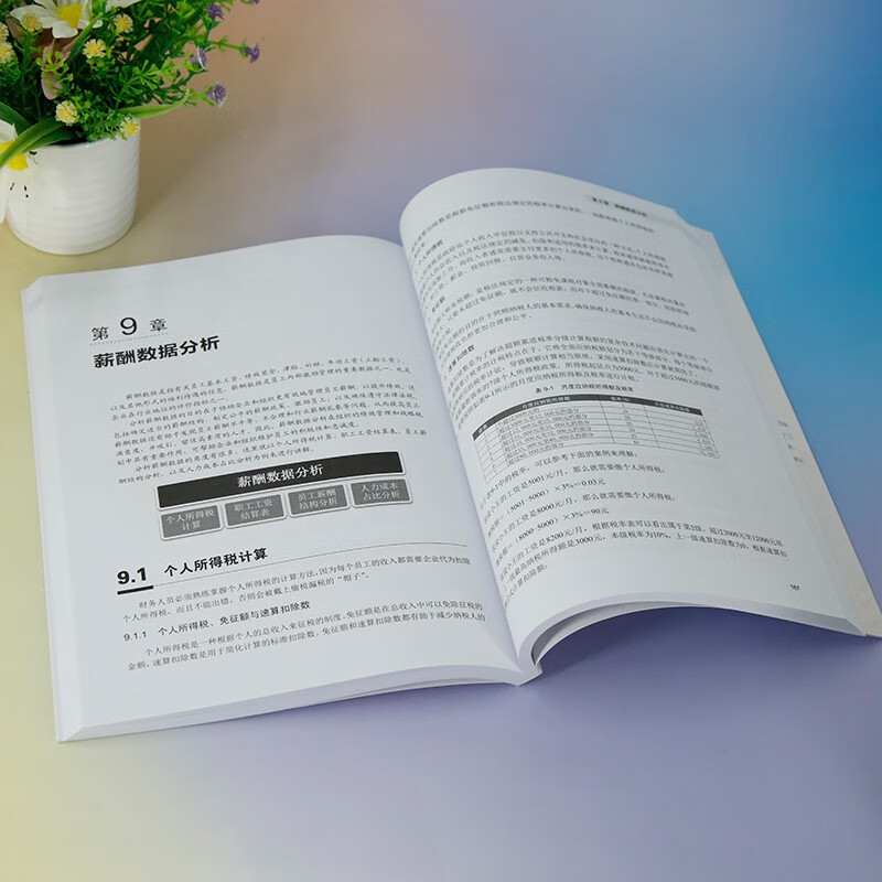 Excel财务数据分析与可视化（视频教学版）