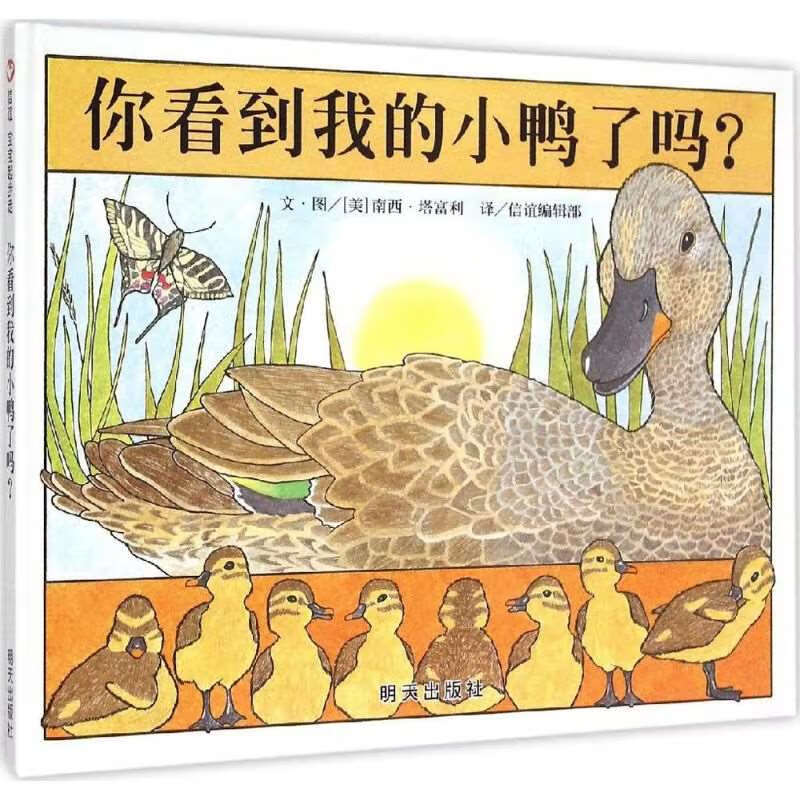凯迪克大奖信谊绘本 你看到我的小鸭了吗?