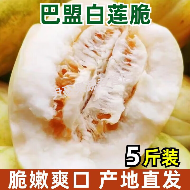 巴盟香瓜 白莲脆甜瓜 当季新鲜现摘孕妇水果整箱 内蒙古特产顺丰 5斤