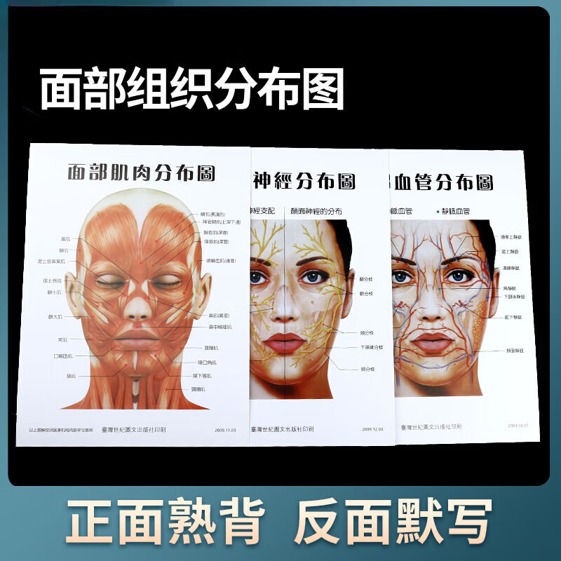 肌肉分布教学辅助参考海报图三张一套 面部分布图(一套3张)a3纸大小