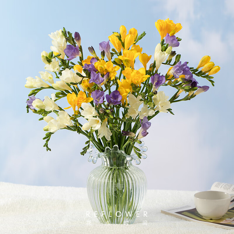 京东鲜花鲜花云南昆明基地直发水养鲜切花室内装饰香雪兰颜色随机10枝