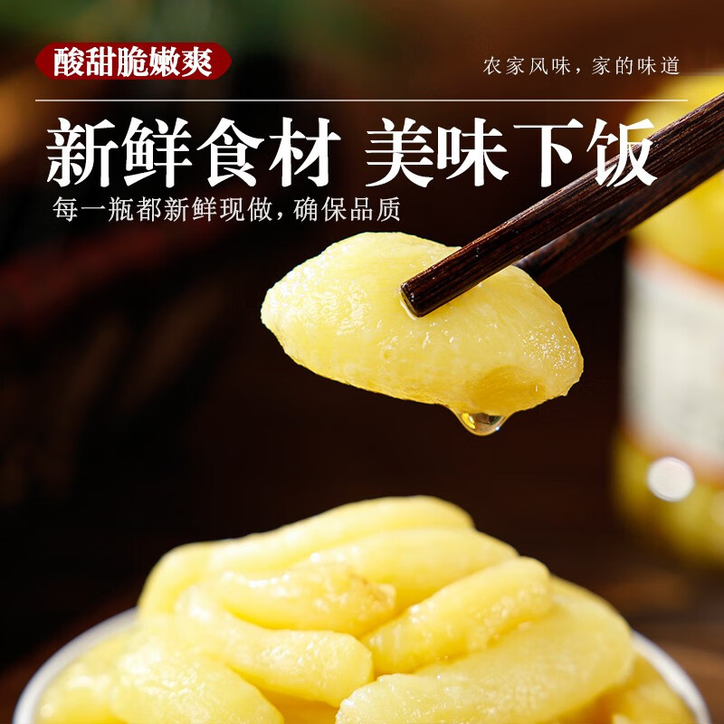 知香斋新鲜醋泡姜芽山东醋泡仔姜嫩姜牙生姜即食生姜片酱菜腌制子姜鲜姜 姜芽500g*1瓶【酸甜口味】