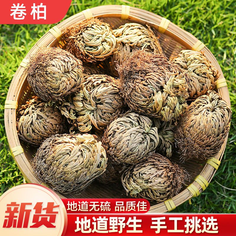 卷柏九死还魂草原生态自然晒干九死还魂草大宽叶卷柏香柏不死草京東i