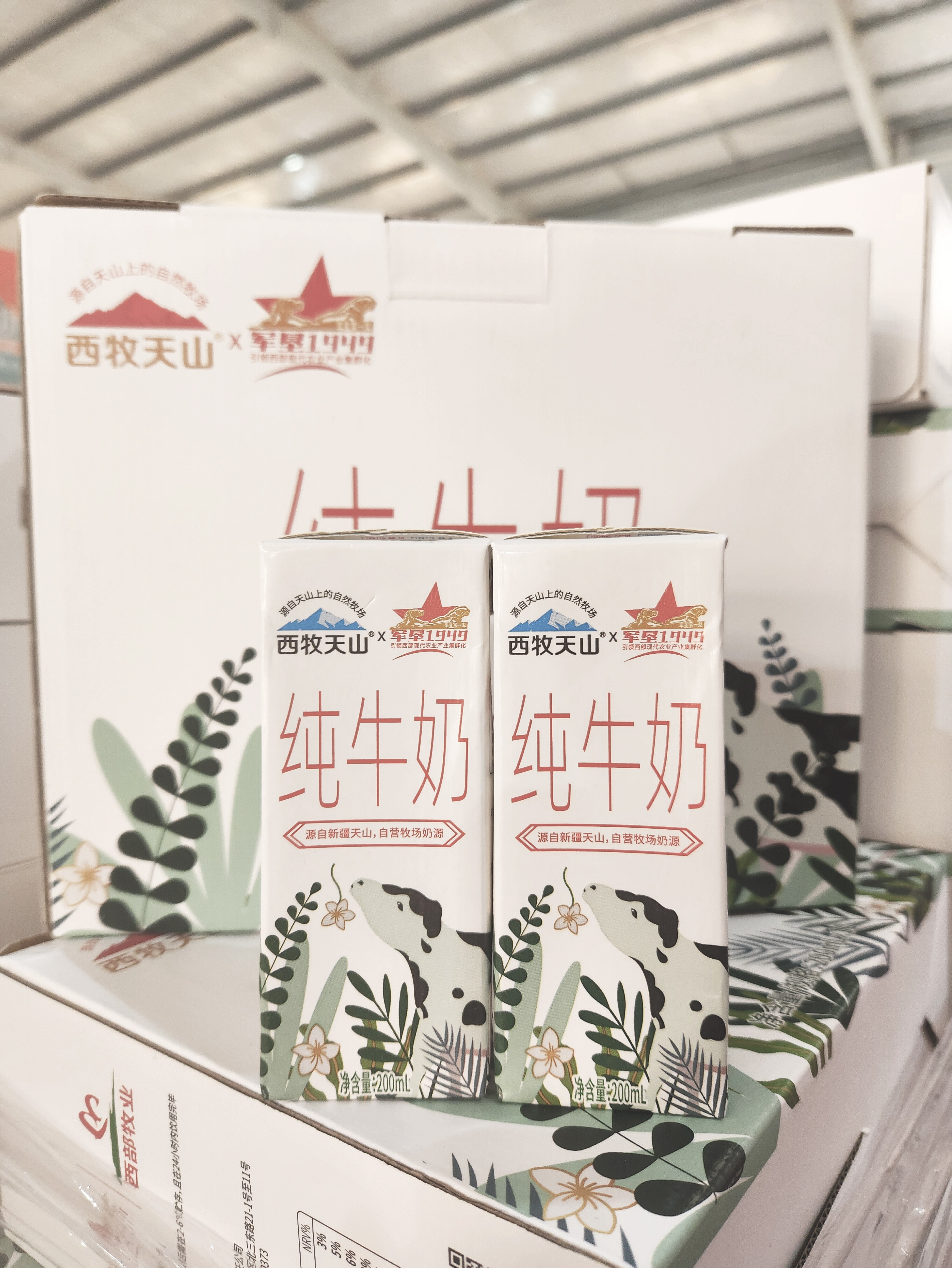 西牧天山新疆纯牛奶200ml*20盒军垦西部牧业成人营养早餐奶 军垦10盒*