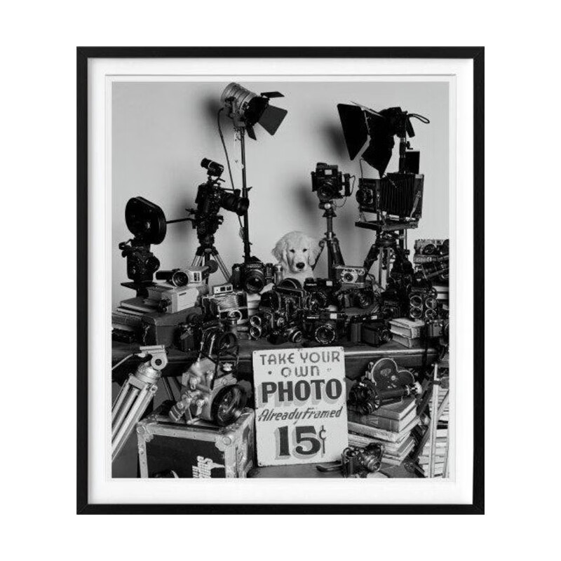 photographic society.原版英文摄影