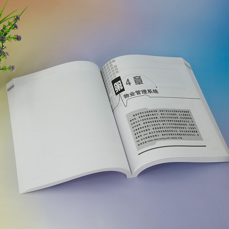 Java项目开发实战（微视频版）