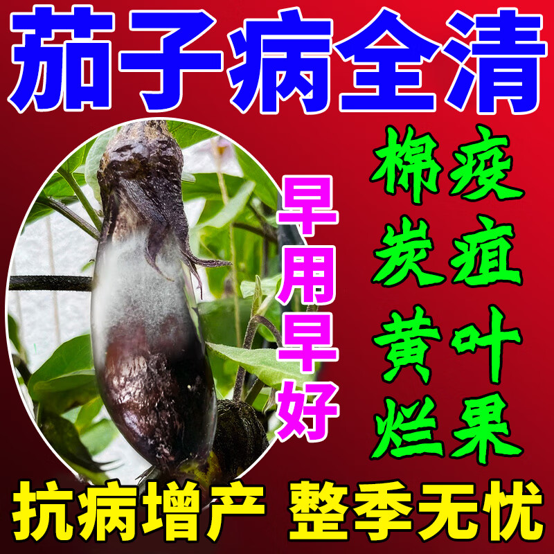 茄子专用药茄子黄萎病炭疽病疫病灰霉病根腐病枯萎病茄子病害专用 1