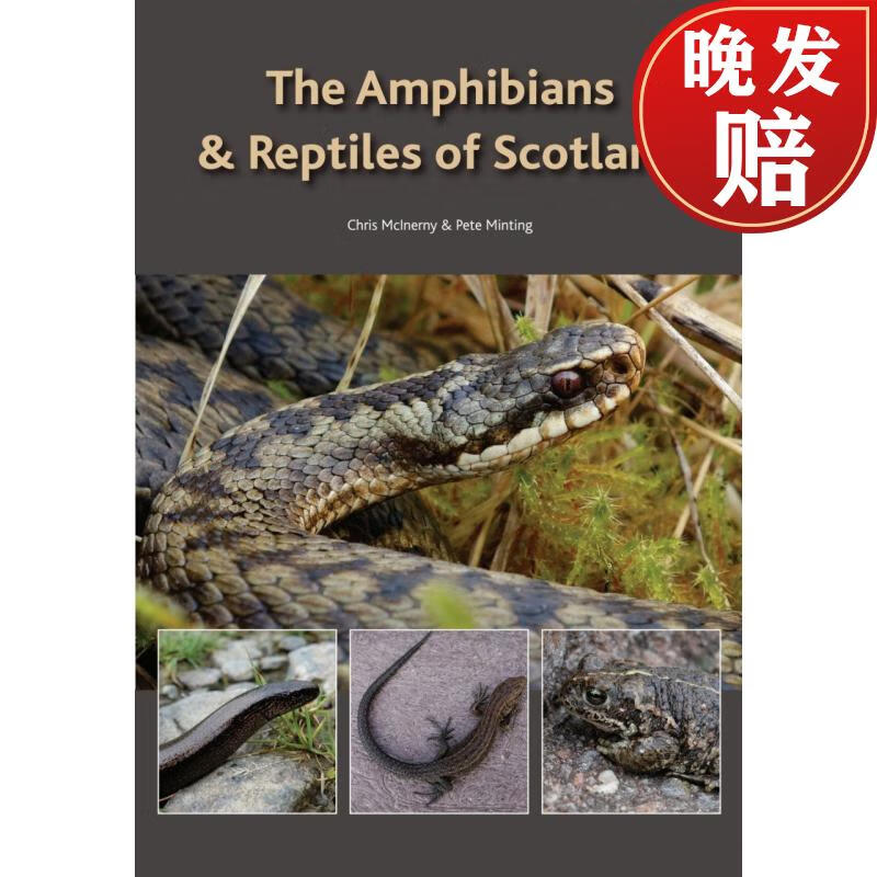 【4周达】the amphibians & reptiles of scotland
