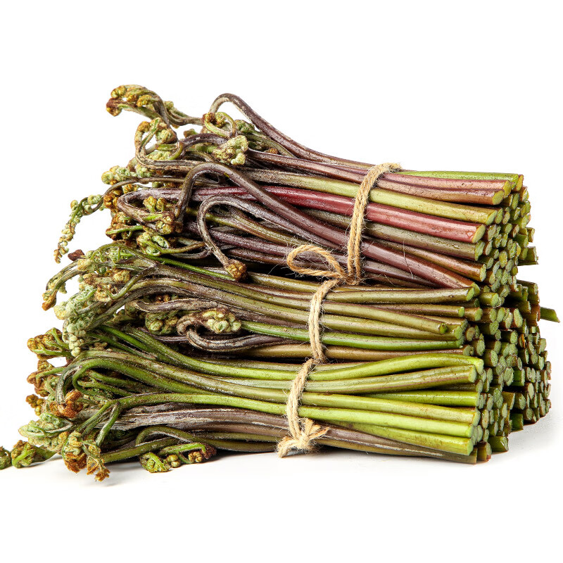 现货湖南蕨菜新鲜蔬菜下饭菜当季天然野地菜山撅菜5斤青厥菜 500g