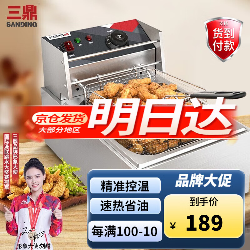 三鼎 电炸炉商用油炸锅油炸机油条机电炸锅油炸炉炸串机炸鸡薯条机小吃设备 单缸单筛 电炸炉(10L)
