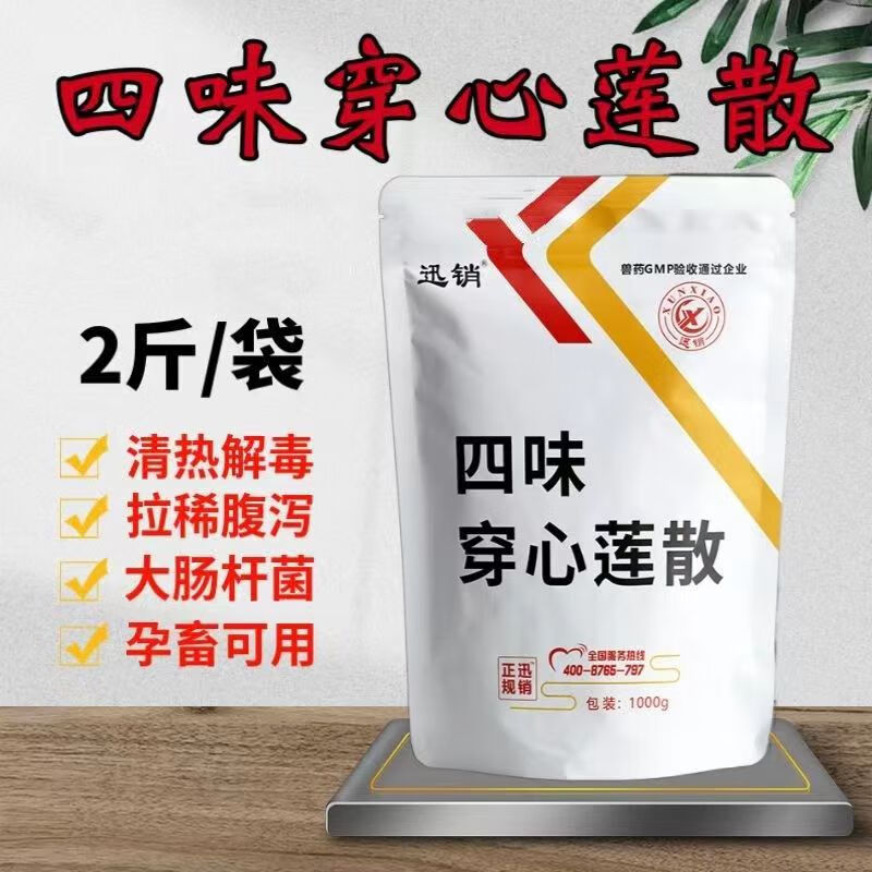 迅销兽药四味穿心莲散兽用鸡鸭鹅大肠杆菌肠炎拉稀白痢猪牛羊清热解毒