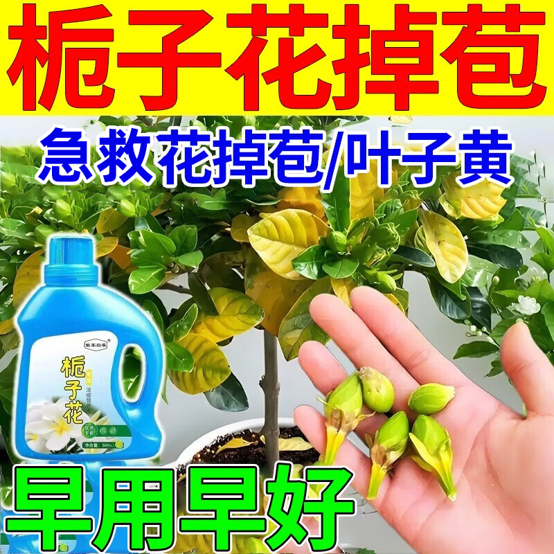 栀子花肥料专用肥栀子花掉花苞叶子发黄干枯烂根专用叶面肥营养液 3瓶装【推荐购买】 京东折扣/优惠券