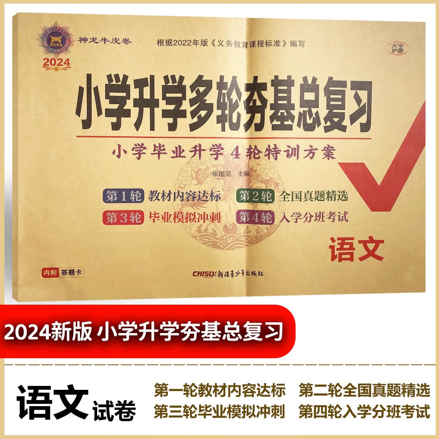 2024神龙牛皮卷小学升学多轮夯基总复习小升初语文数学英语特训卷