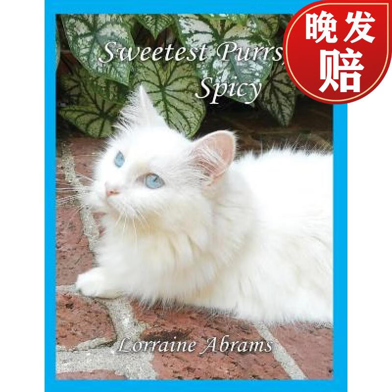 【4周达】sweetest purrs, spicy