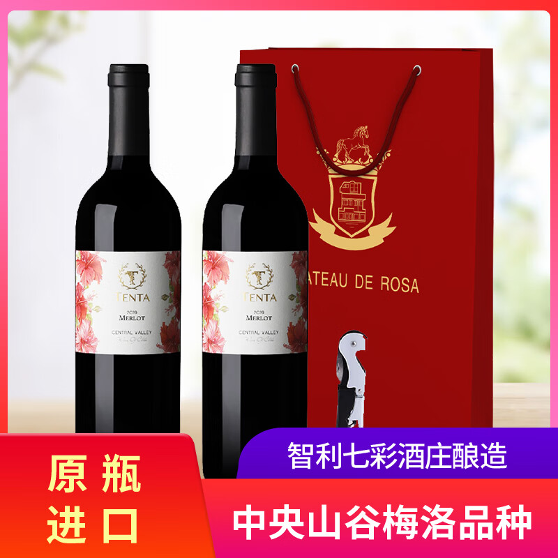 天帕智利中央山谷原瓶原装进口 经典梅洛干红葡萄酒红酒13.5度750ml 精品2支装