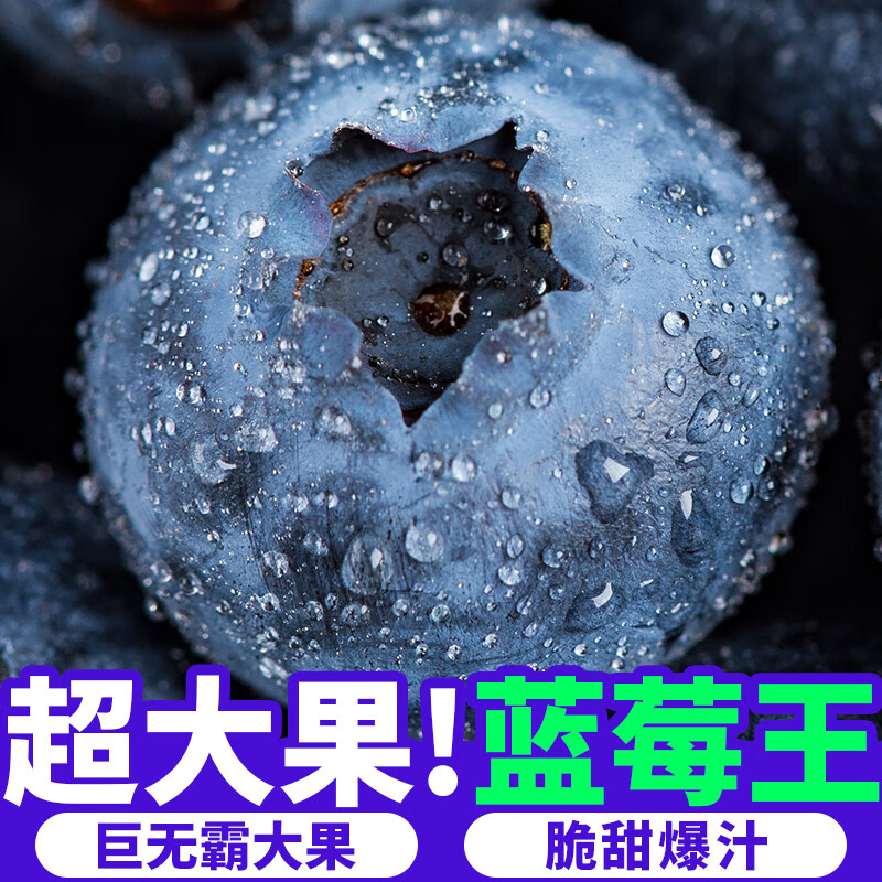 JD生鲜 云南蓝莓 新鲜水果 孕妇宝宝可食 12盒 约125