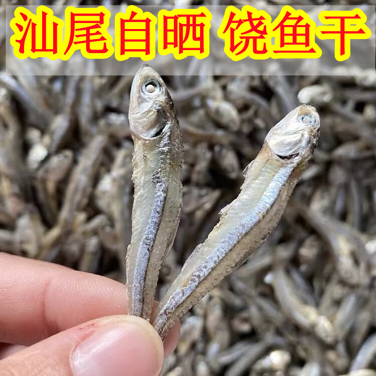 汕尾本港饒魚干 江魚仔丁香魚干魚仔小公魚仔干白飯魚饒魚仔500g 汕尾自曬魚仔(500g)