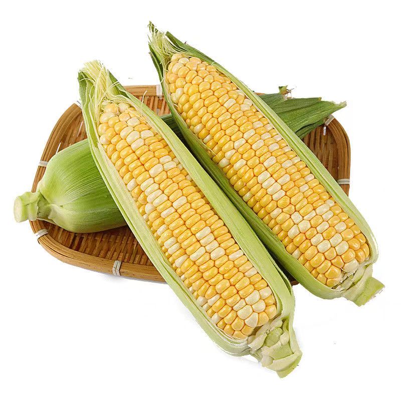 ��������ˮ��������ժ�ַ� ˮ������ 9��