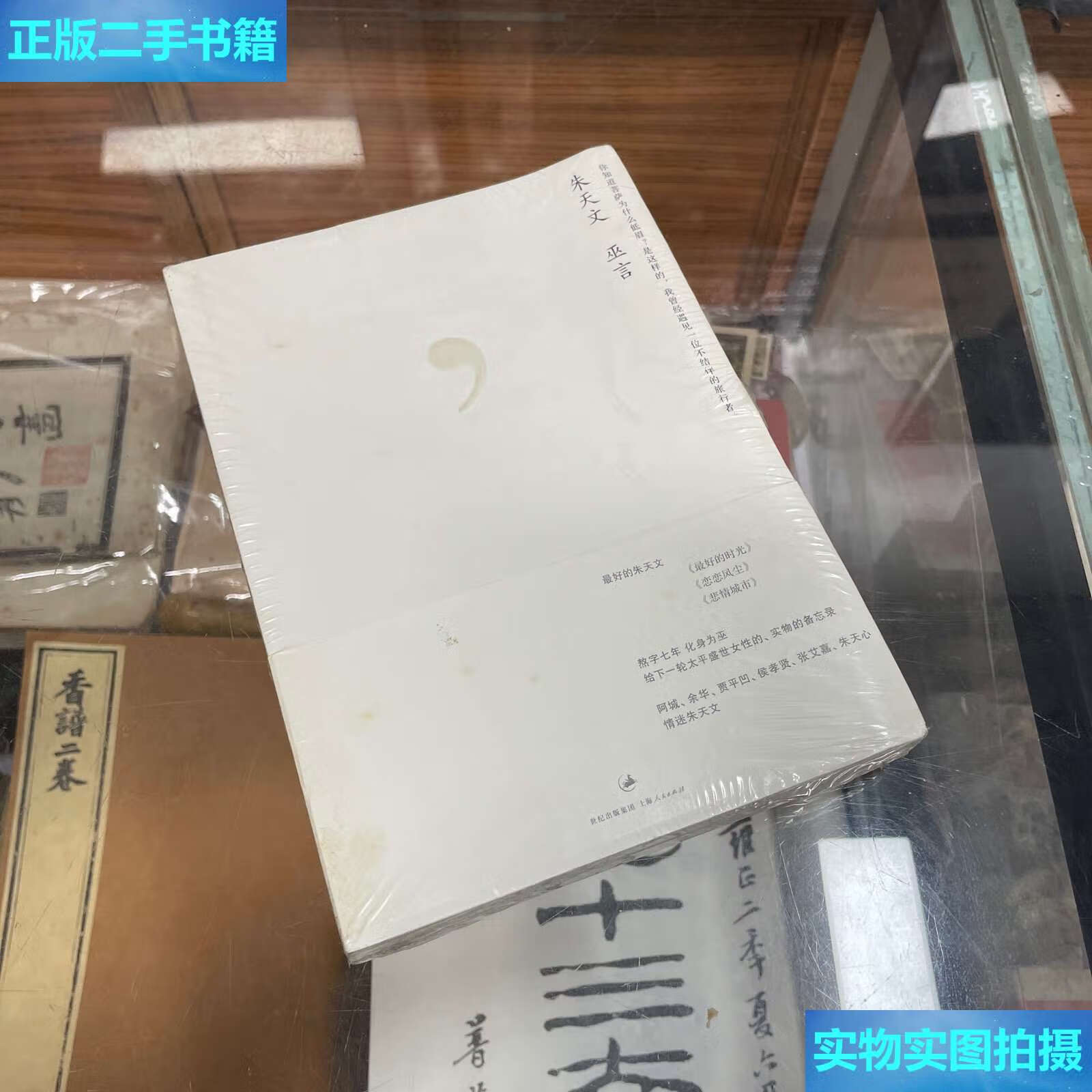 【二手9成新】巫言  /朱天文 上海人民