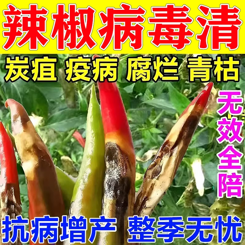 辣椒疫病清病毒病杀菌药蔬菜花叶病全清灵卷叶病专用药 【1袋装】再送