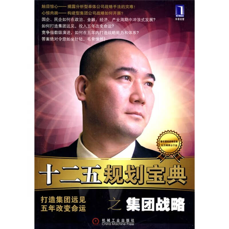 十二五规划宝典之集团战略