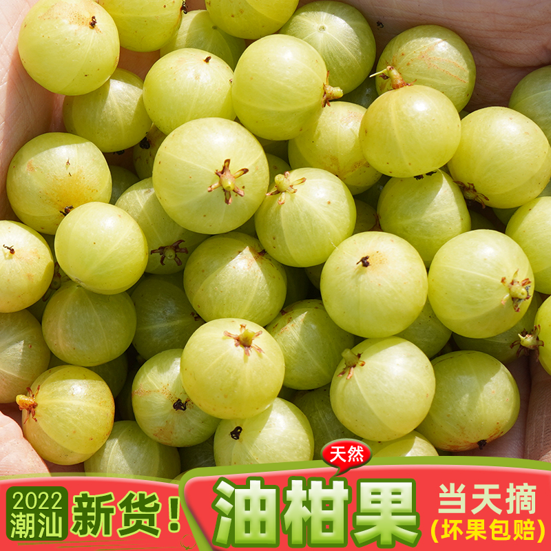2022新果潮汕特产油甘果余甘子山油柑油甘子土油甘望果酸水果榨汁 3斤