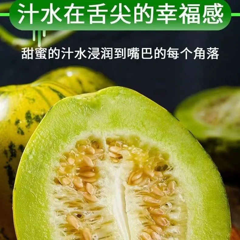 头茬花美人八里香甜瓜花蕾新鲜头茬现摘现发脆甜多汁正 精选5斤