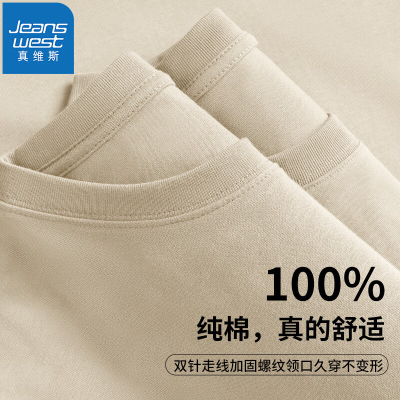 真维斯（JEANSWEST）短袖t恤男夏季重磅纯棉半袖202