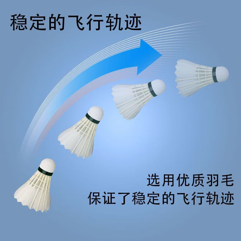 赢鹰66S 羽毛球装备哪里买 中羽在线