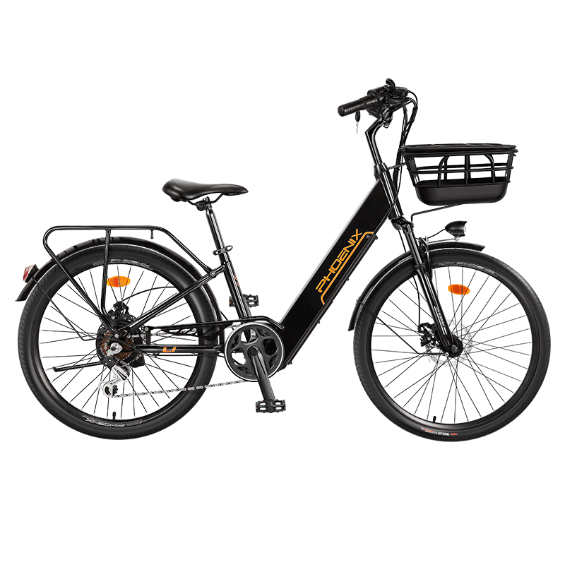 ���ڲ�������ˣ�Phoenix���¹���綯���г�����﮵����������ŮʿС�͵�ƿ���������絥�� L8��/���ش���/7��/24�������/5���Ǳ� 48V20AH�綯����80����